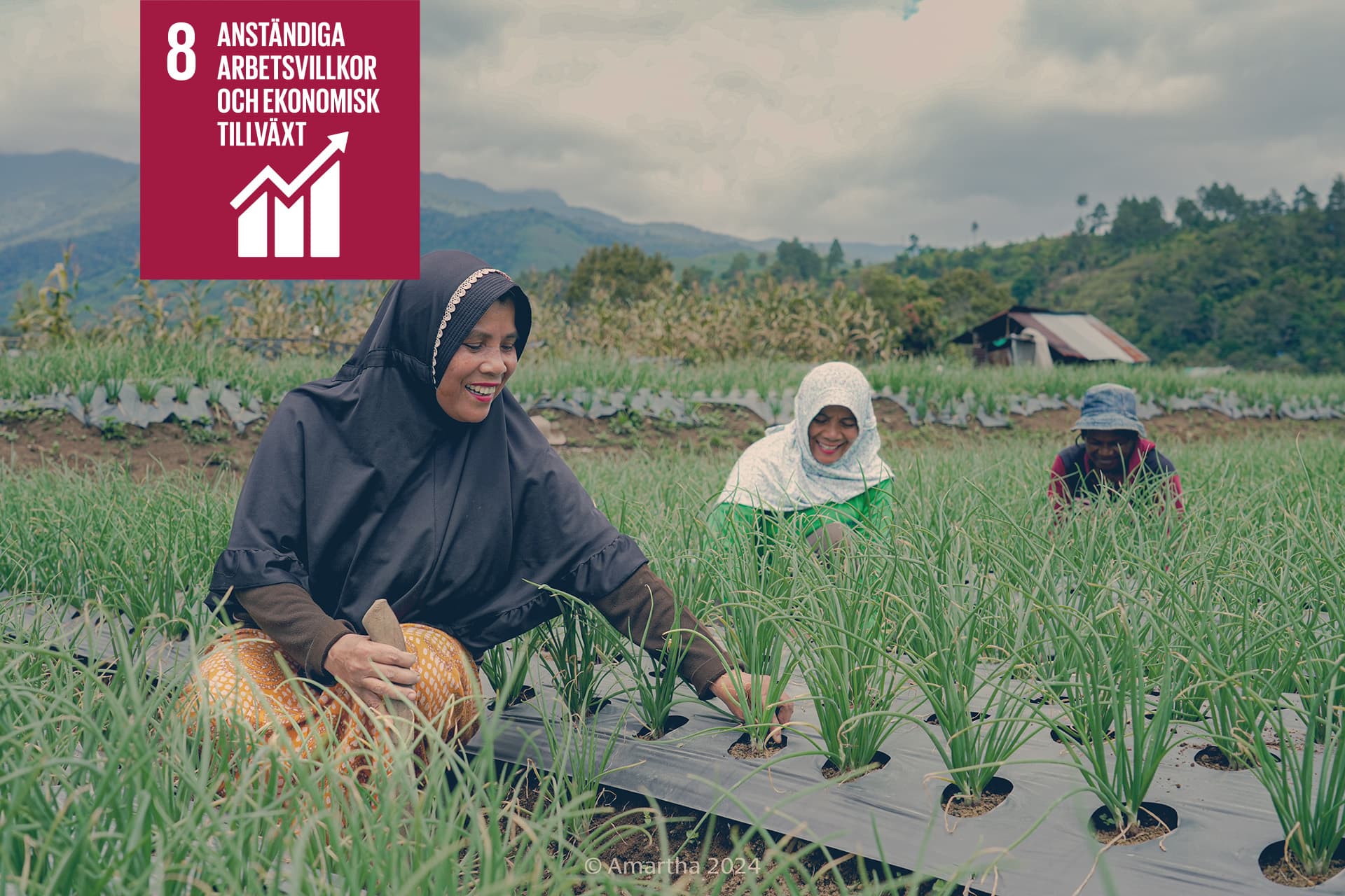 Swedfund Ar 2025 Web 8 Sv