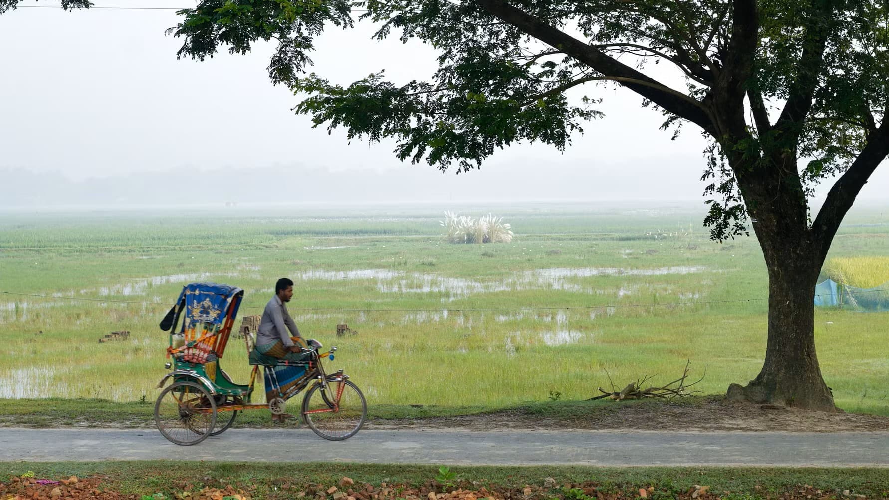 Landskapsbild i Bangladesh