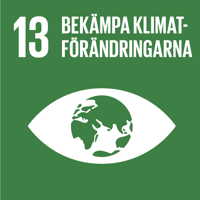 13 Bekampa Klimatforandringarna