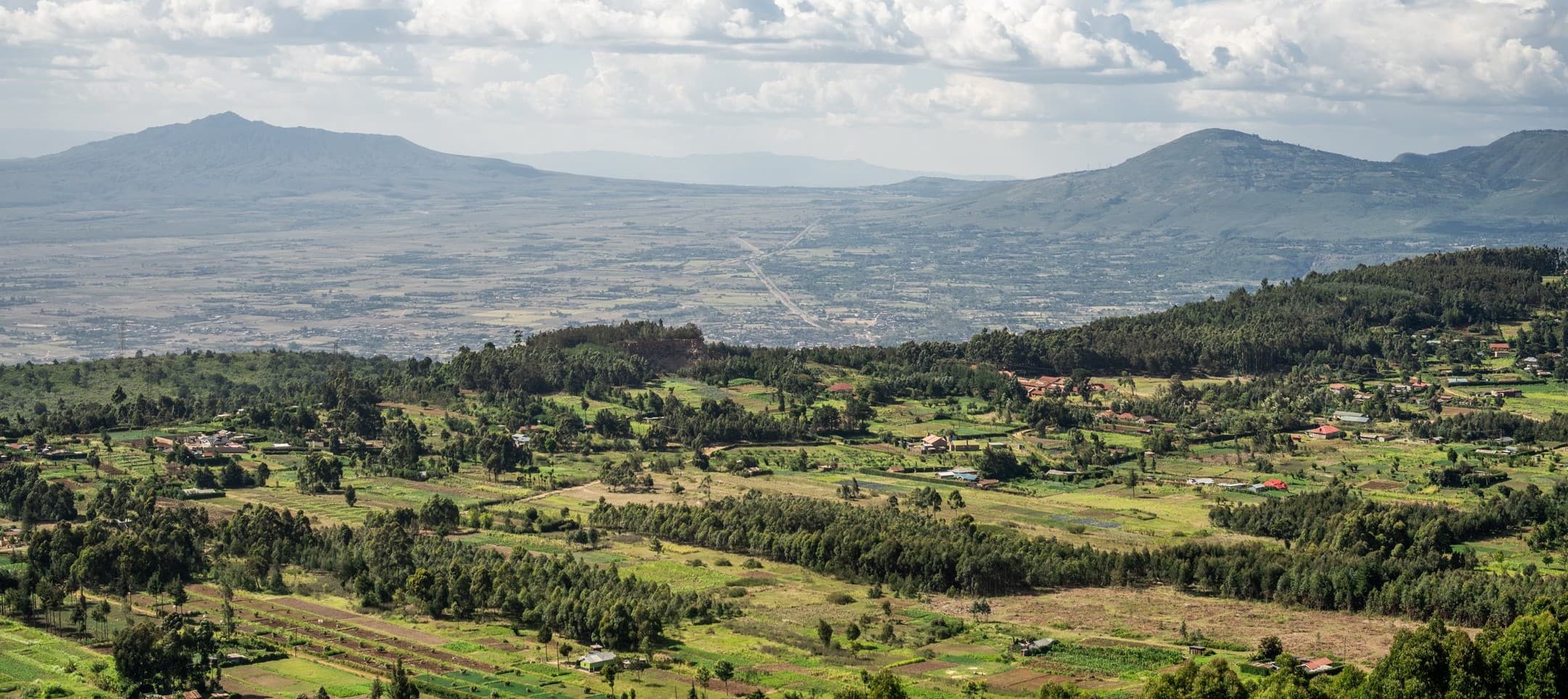 Excavator in a field
