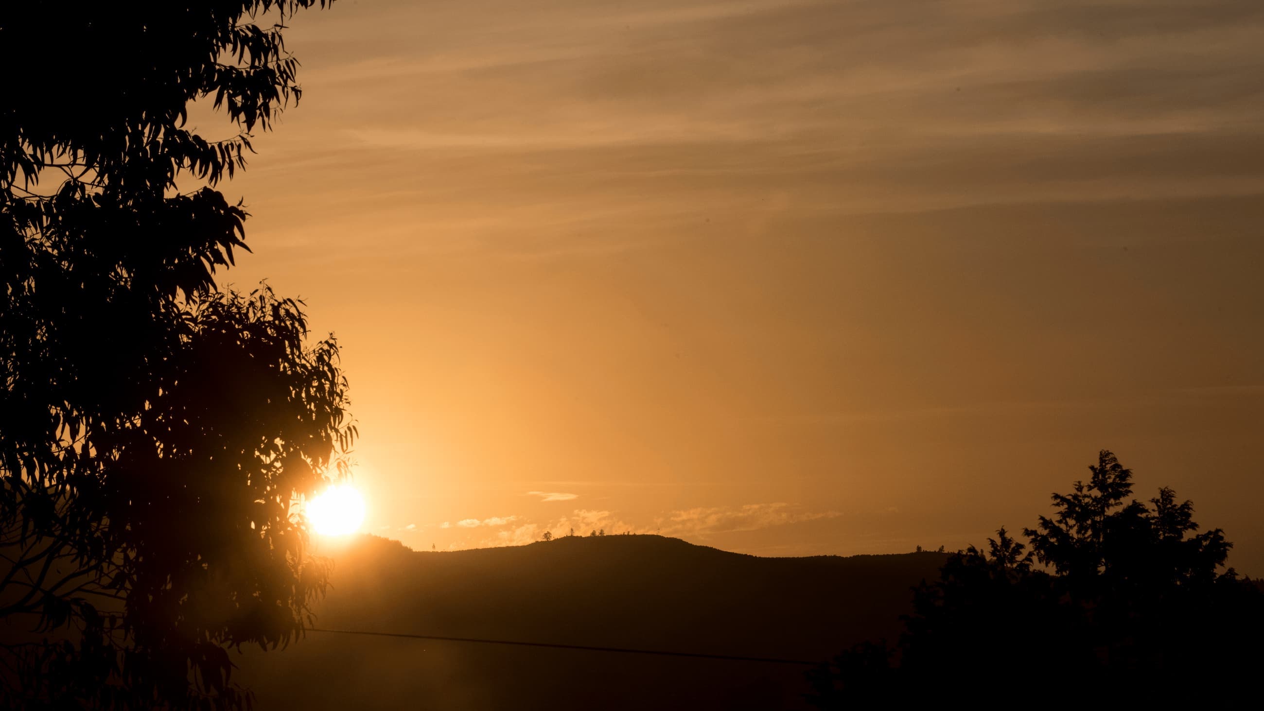 Landscape at sunset
