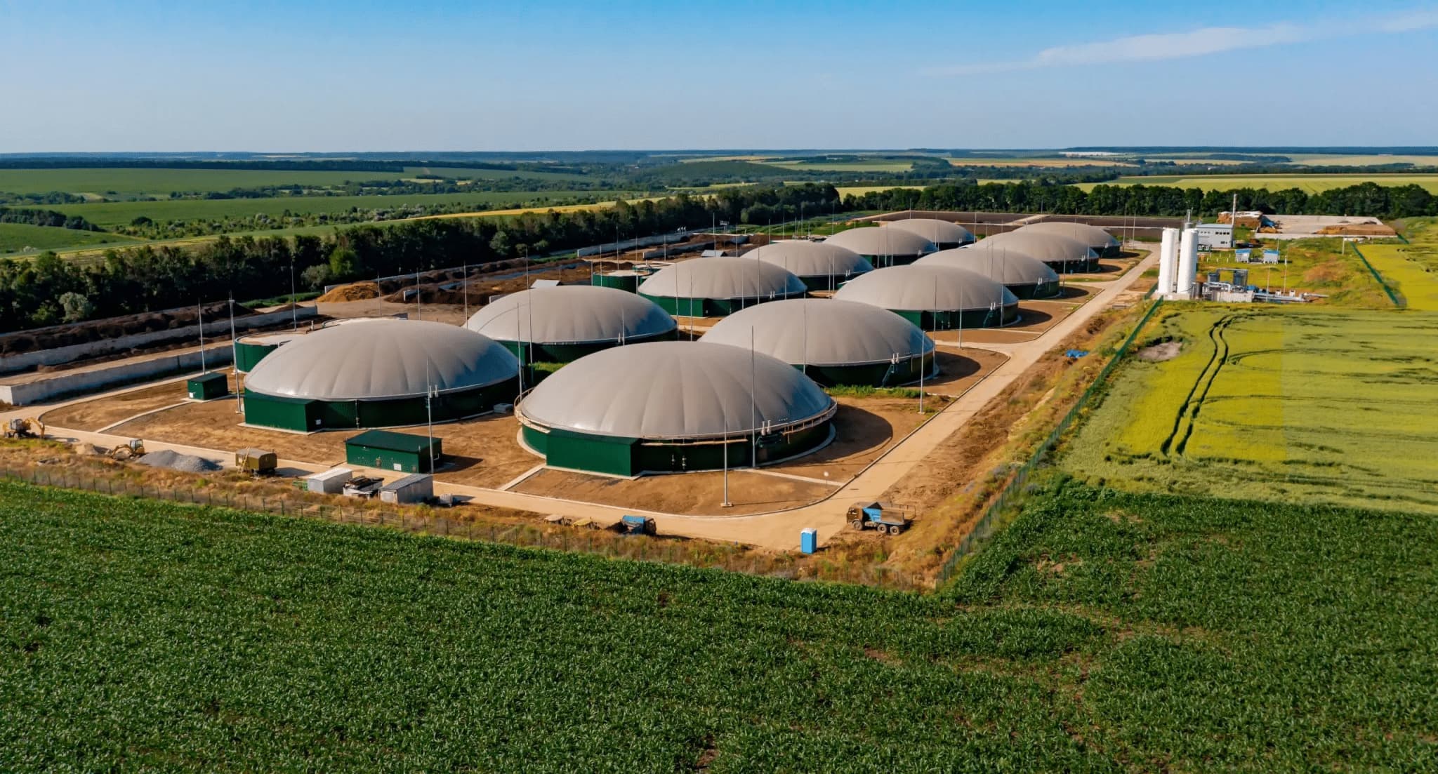Biomass plant