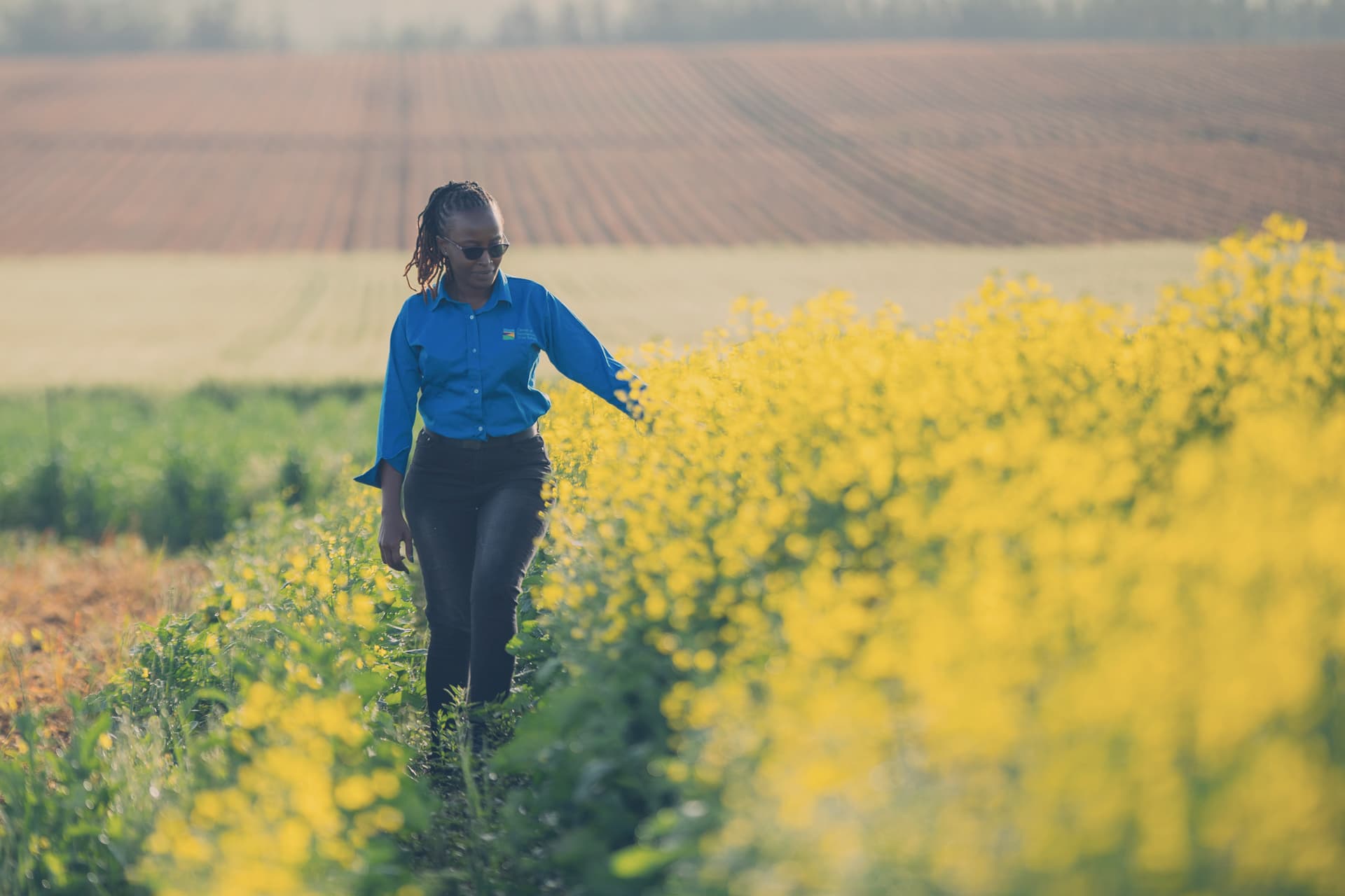 Woman walking across canola field