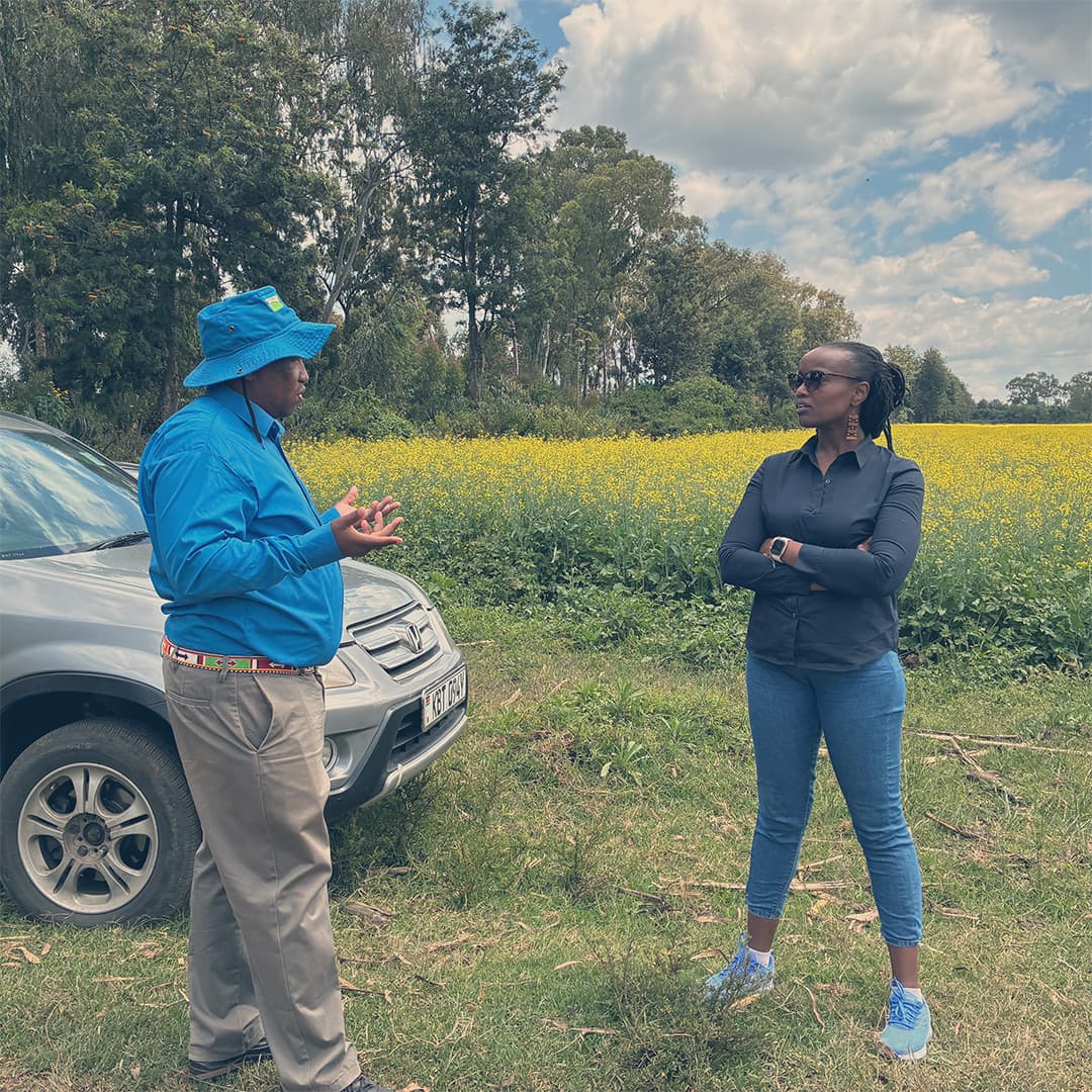 Swedfund Ar 2025 Web 4