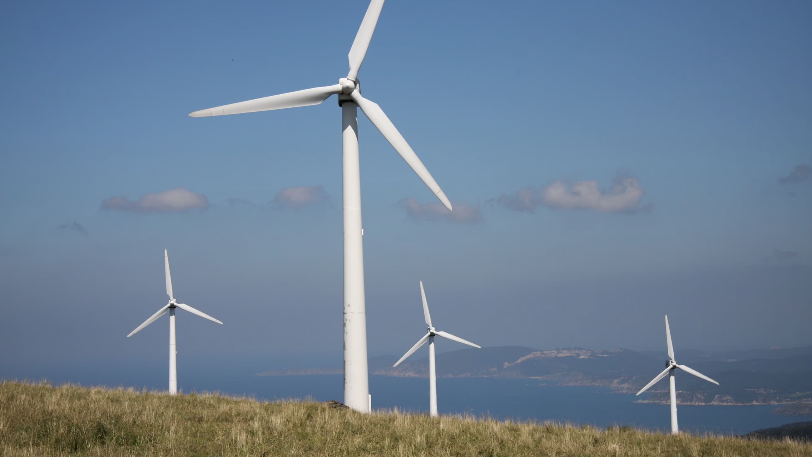 Wind turbine on a field