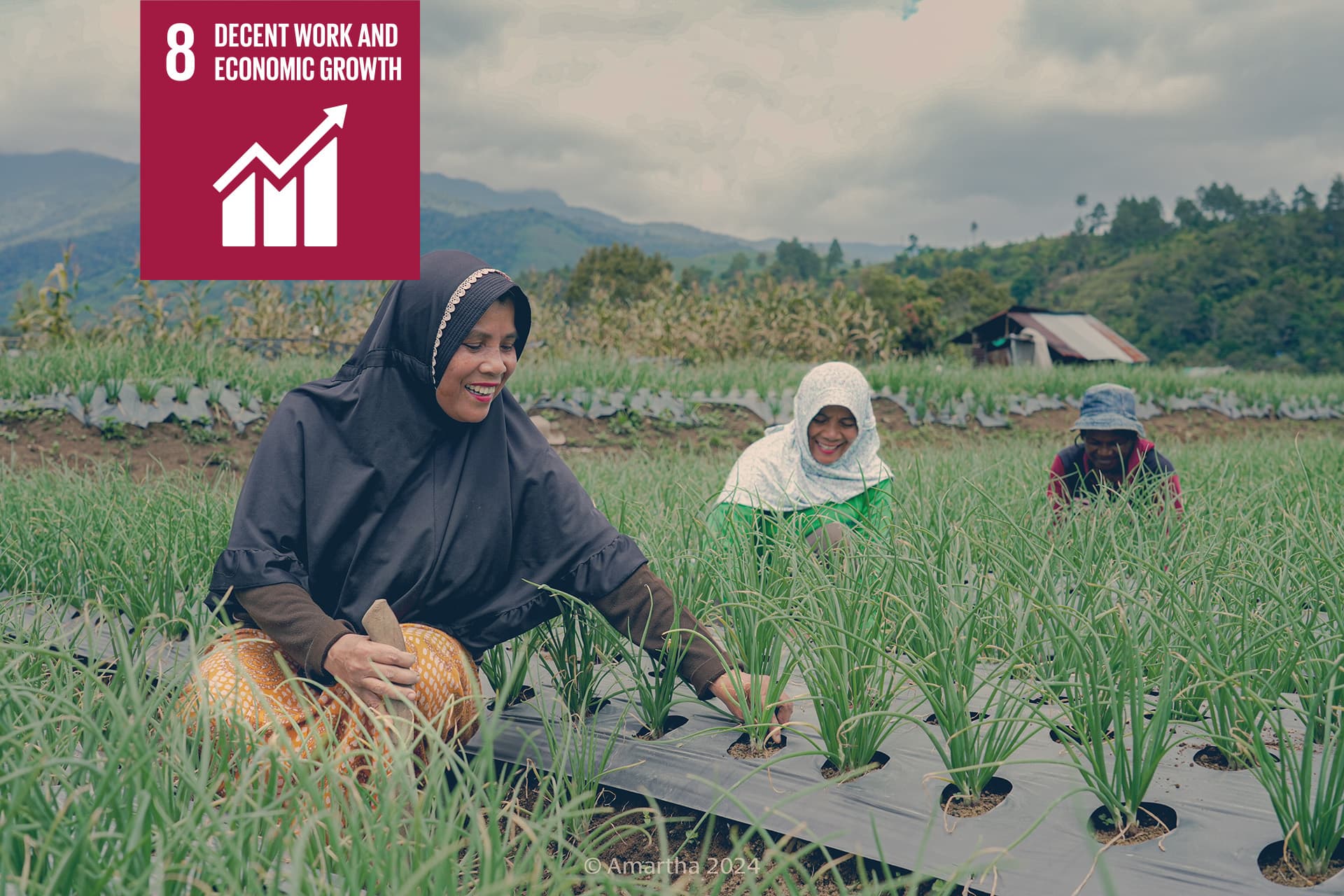 Swedfund Ar 2025 Web 8 En