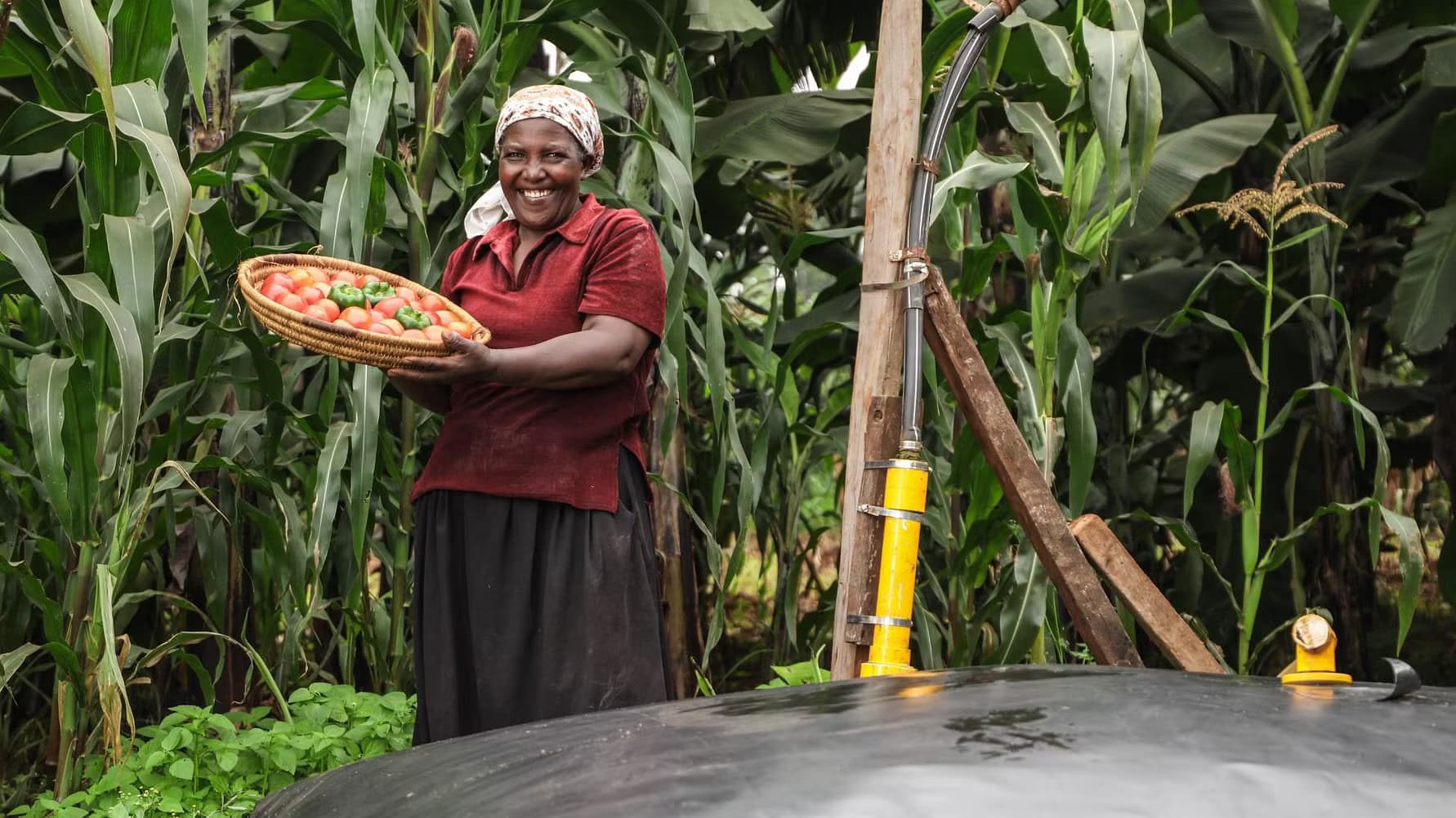 woman with basket with vegetables